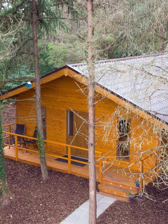 Butterfly Cabin Limerick Junction Exterior foto